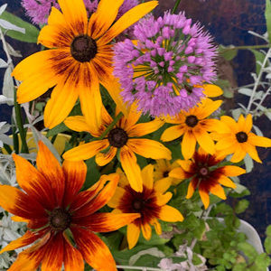 Meet your Posher, Krista